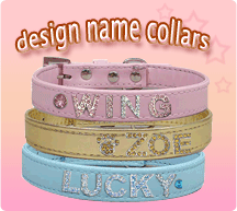 Design collar by yourself Design collar by yourself