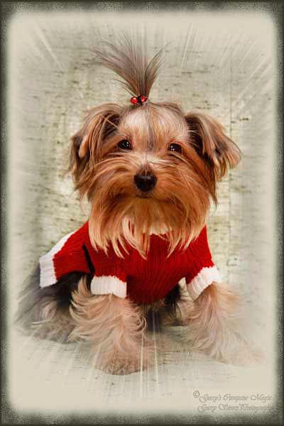 Mitzi