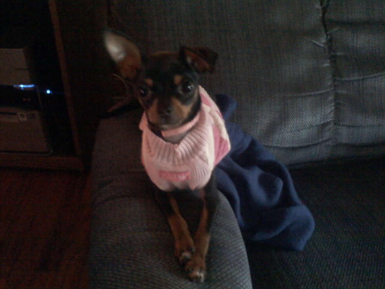 Ms. Gabby