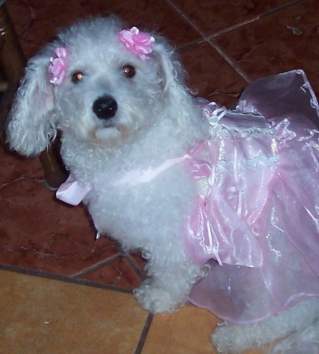 miss minnie
