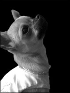 missy
