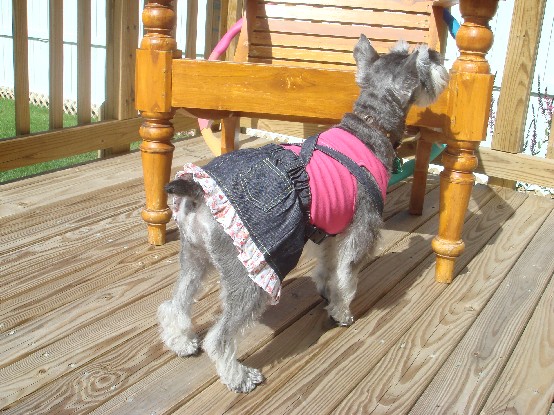 shirly