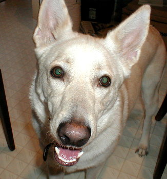 Max
