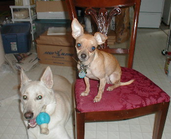 Max and Bon Bon 