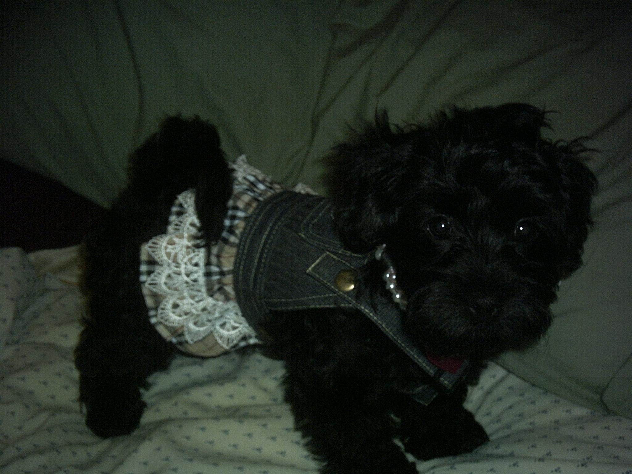 LeeLee
