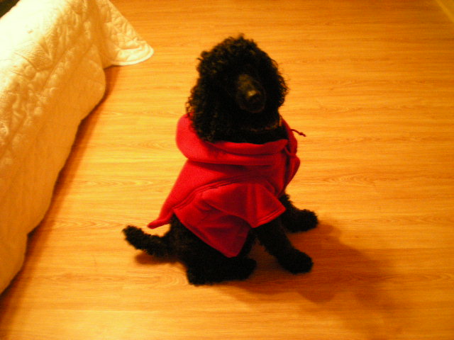Charlie