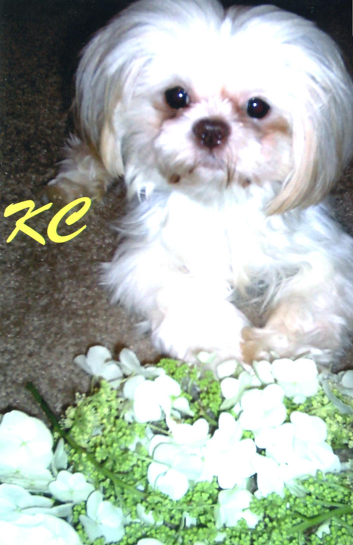 kcayMay