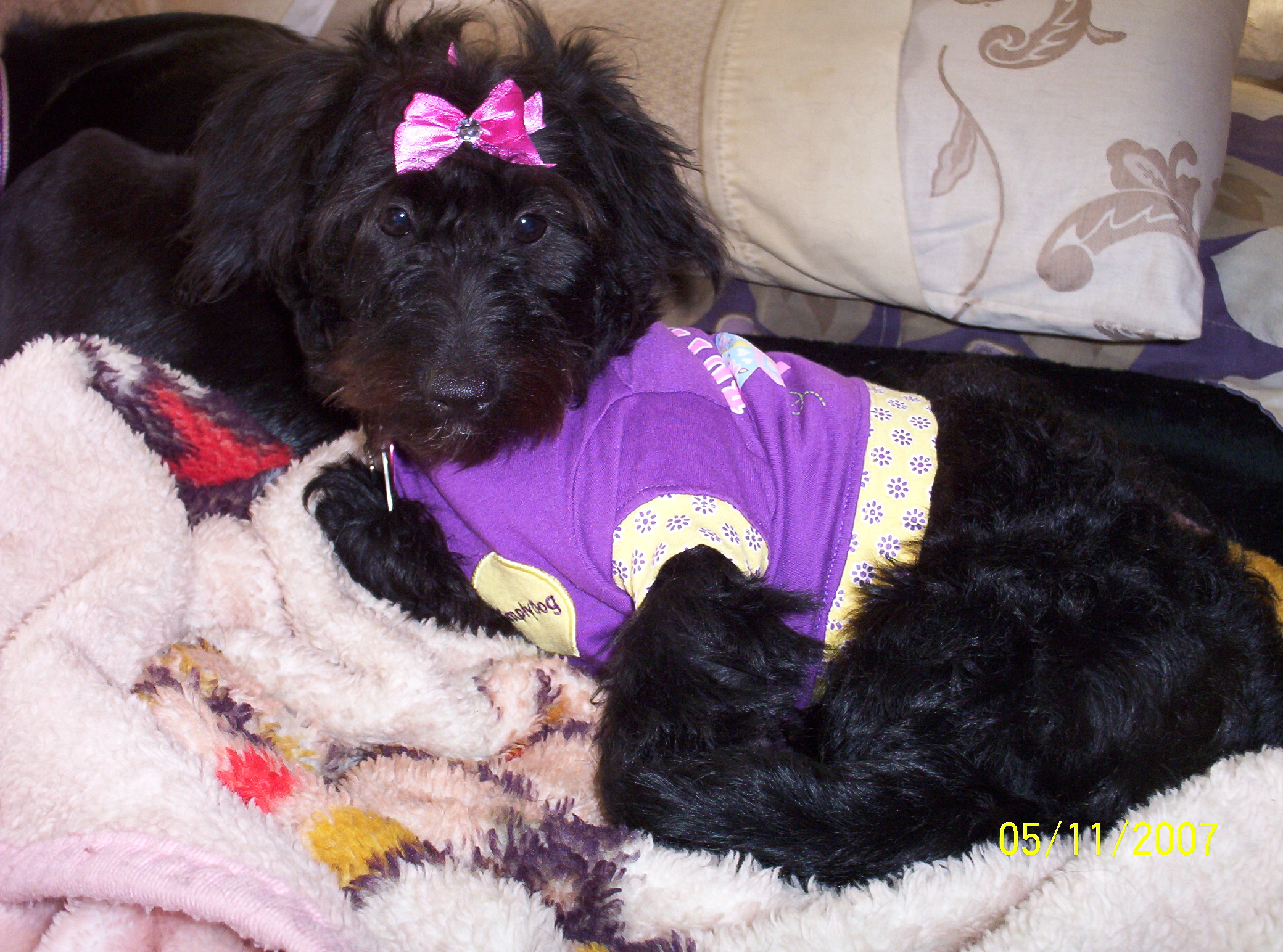 Princess