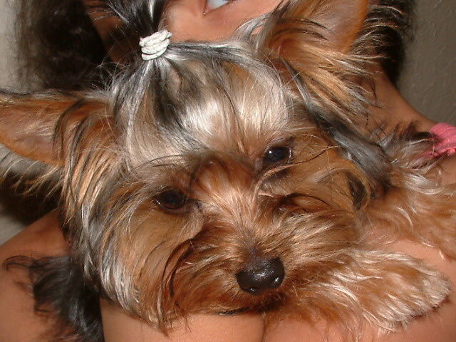 Paco