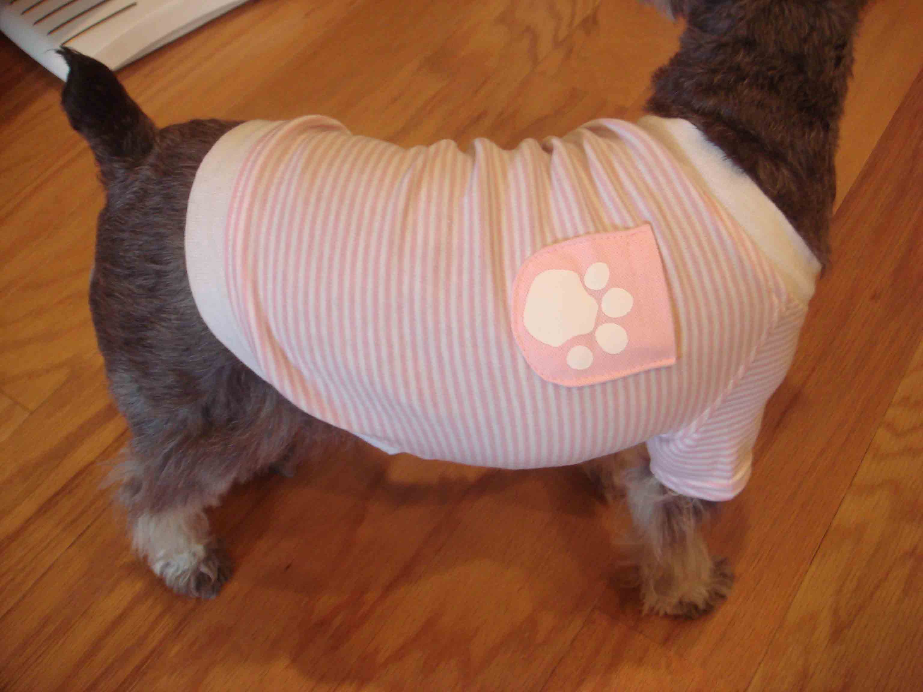 shirly