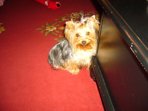 Zoe