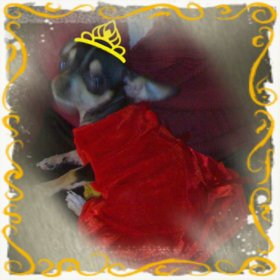 MissGrace