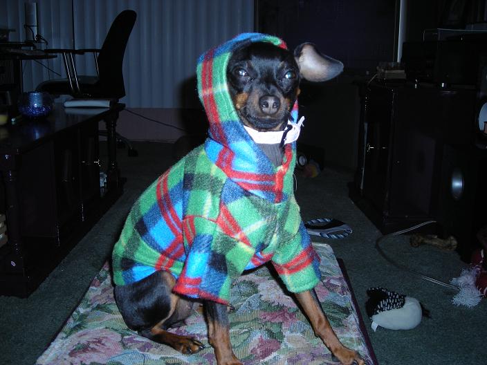 roxy
