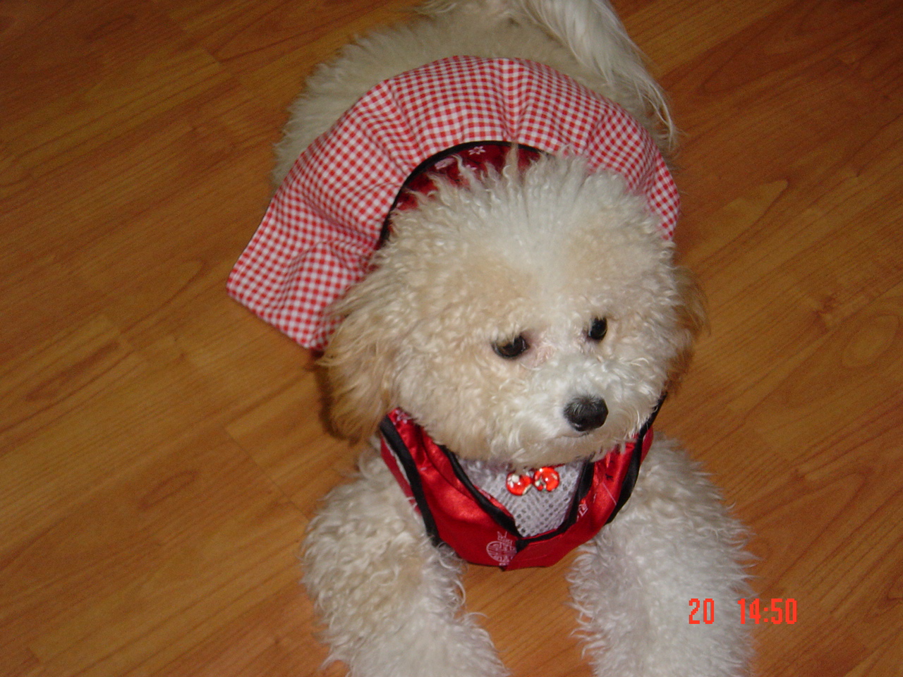 Tam Tam
