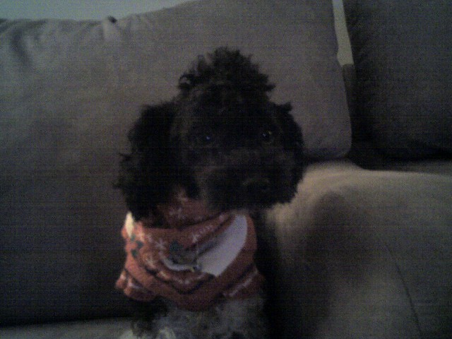Sebastian Solomon Frazier