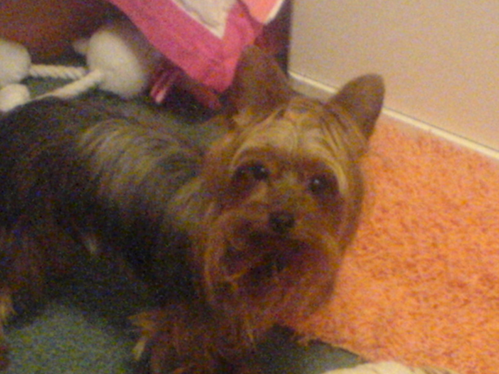 tucker
