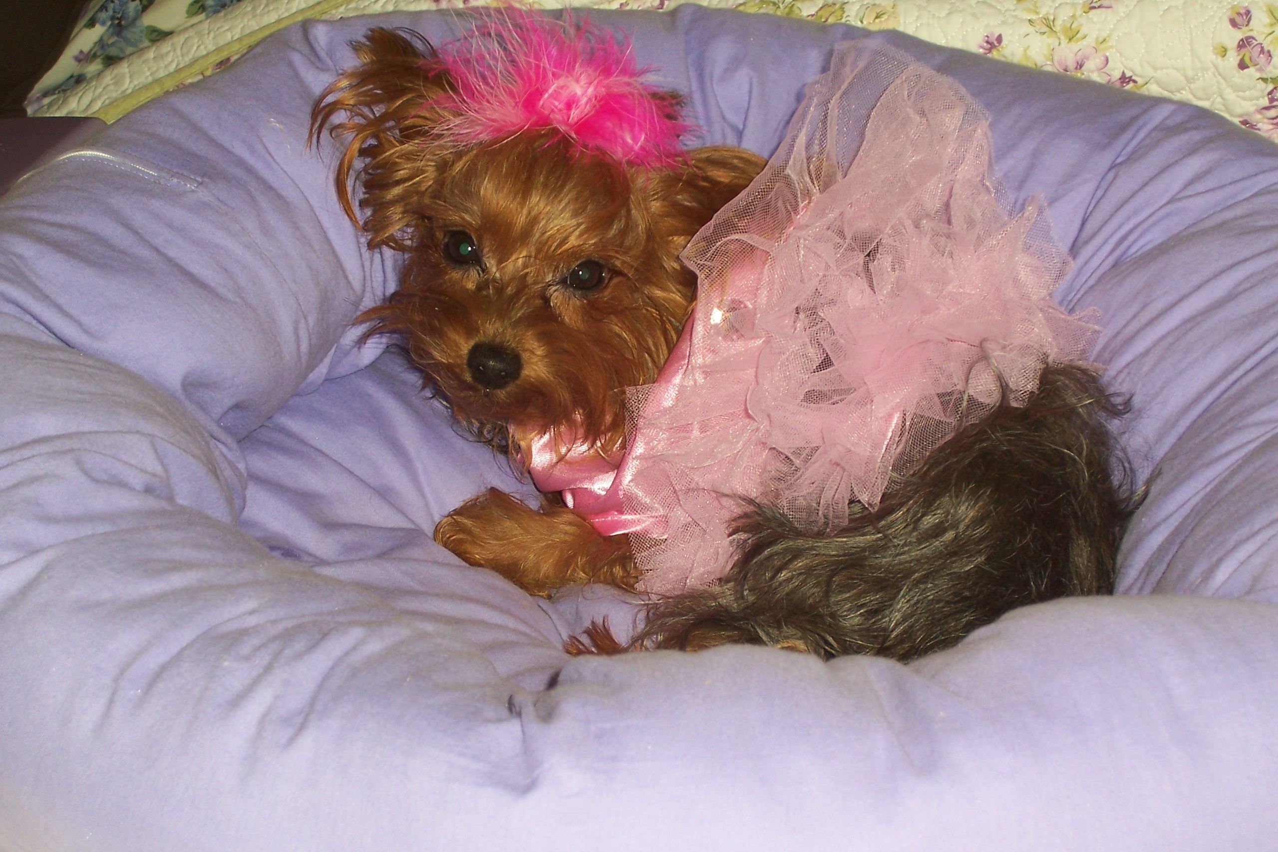 Emme'