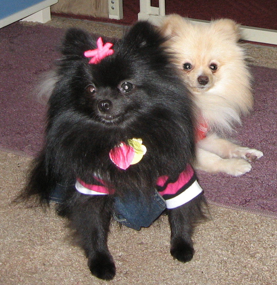 Shadow & Kashmere