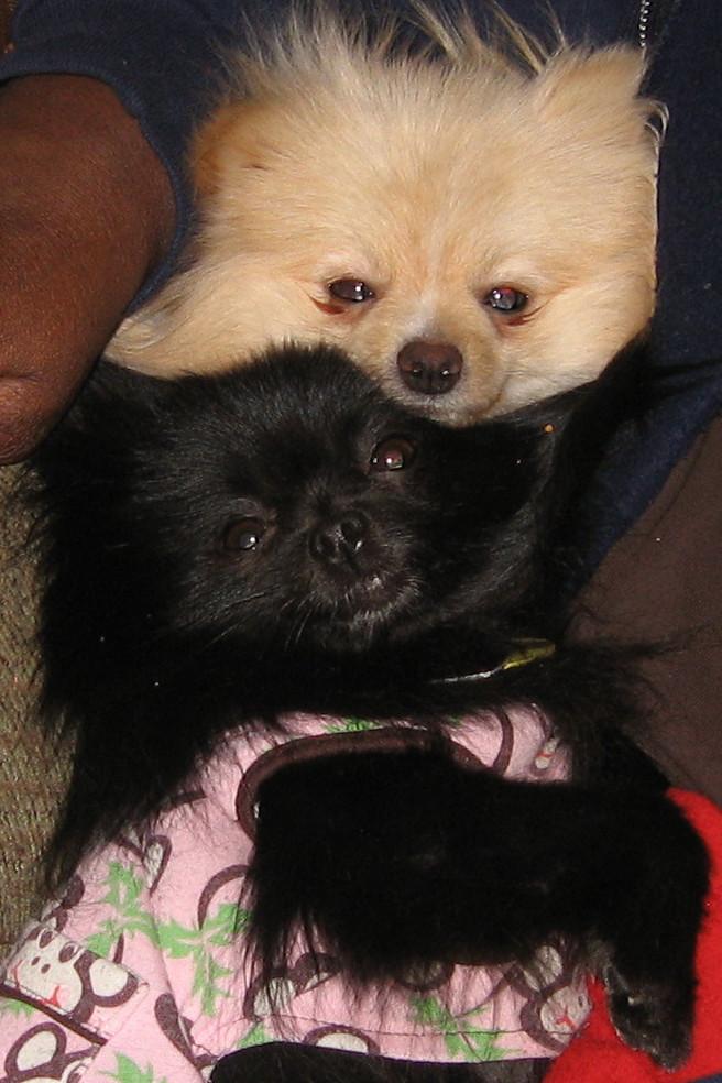 Shadow & Kashmere