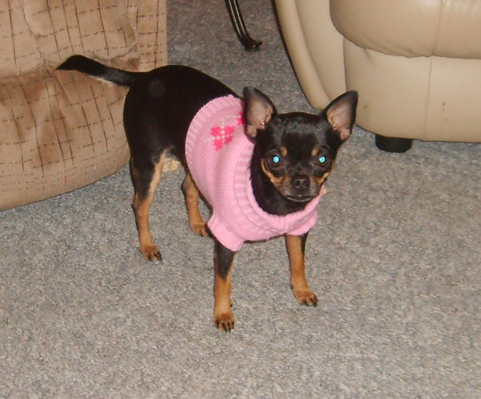 Peanut