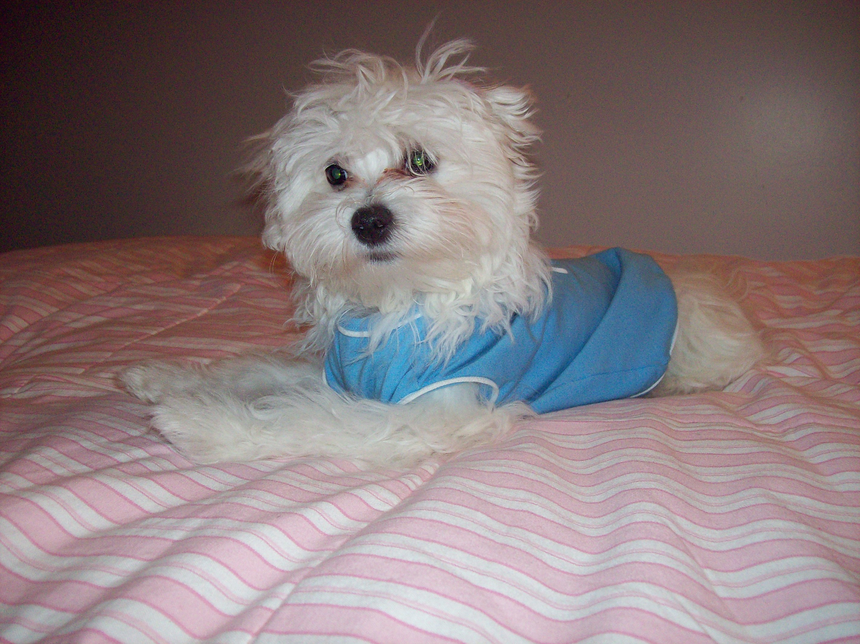 Murphy