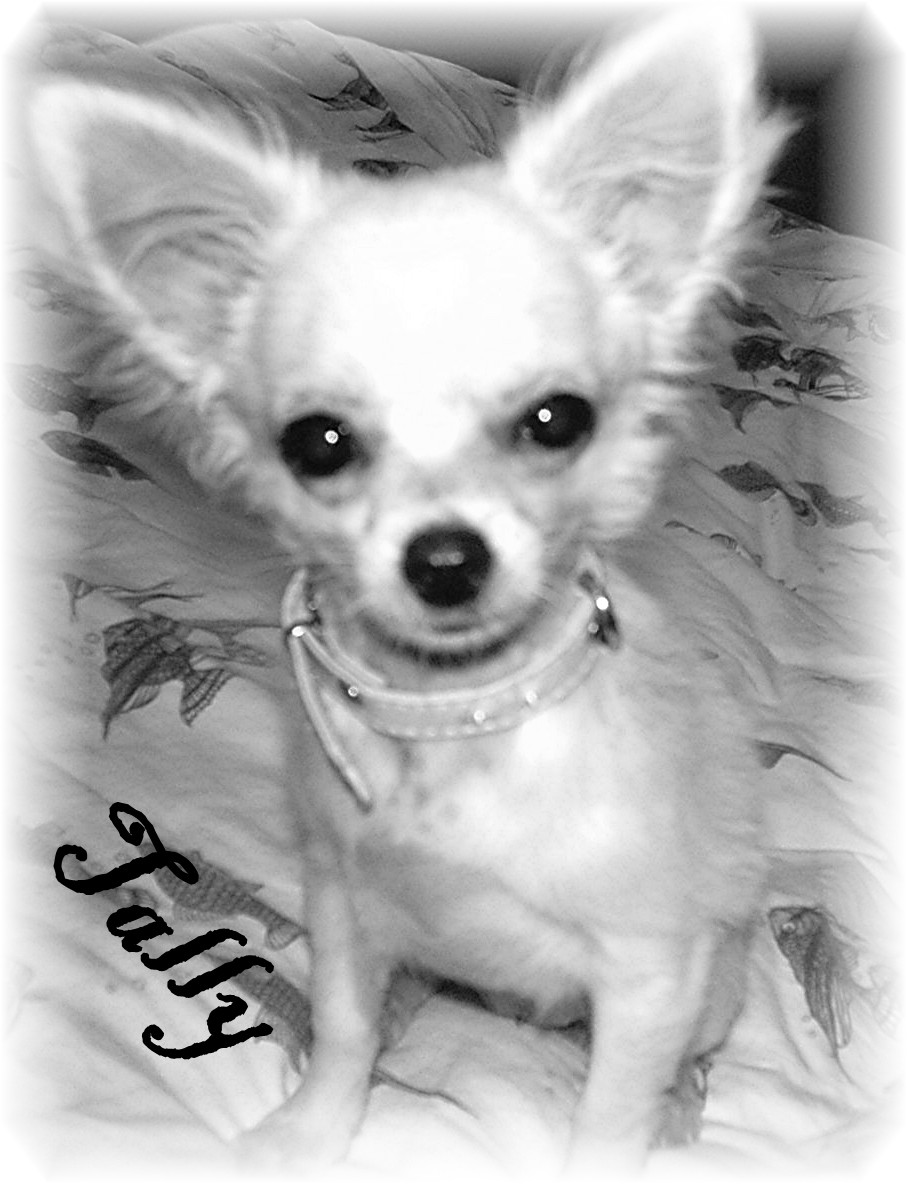 Tally Tinkerbell