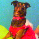 Rita
