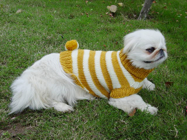 Color Strip Sweater