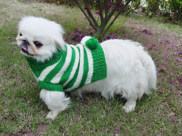 Color Strip Sweater