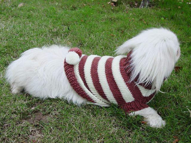 Color Strip Sweater