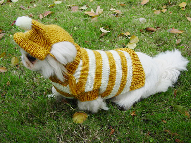 Color Strip with hat