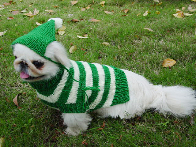 Color Strip with hat