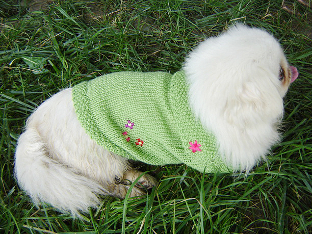 Embroider jacket