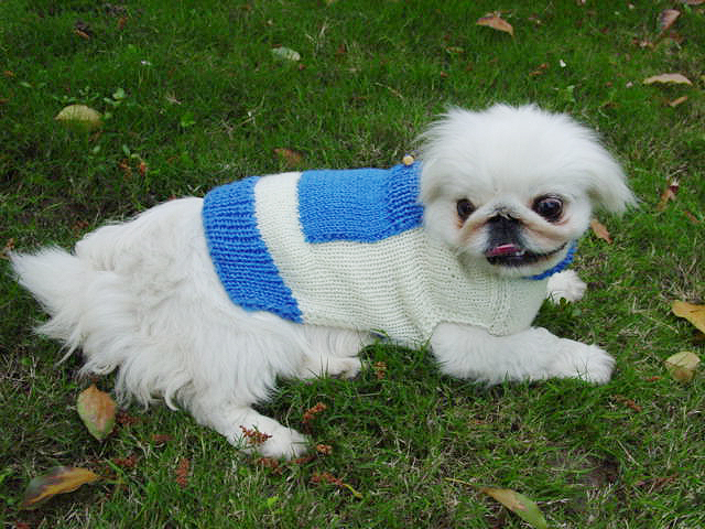 Pocket Sweater