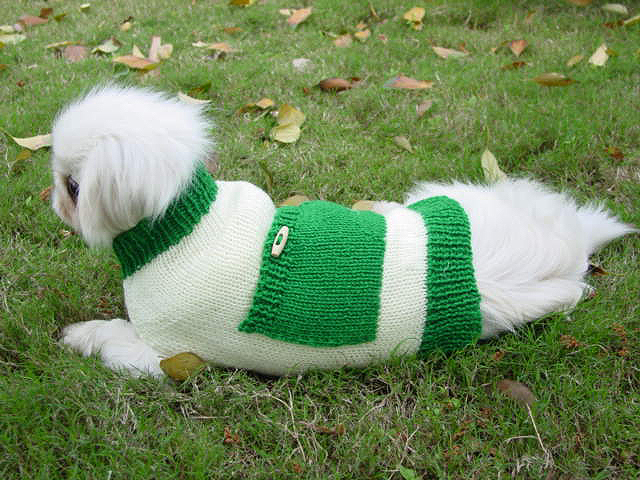 Pocket Sweater
