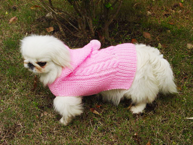 Hoodie coat