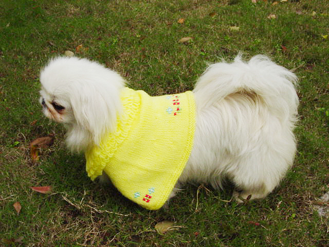 Embroider Amice
