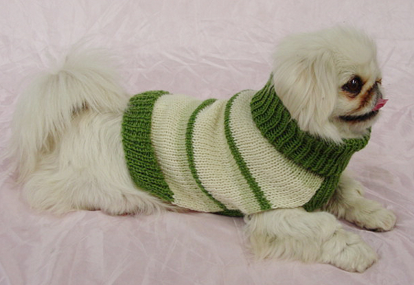 chunky turtleneck sweater