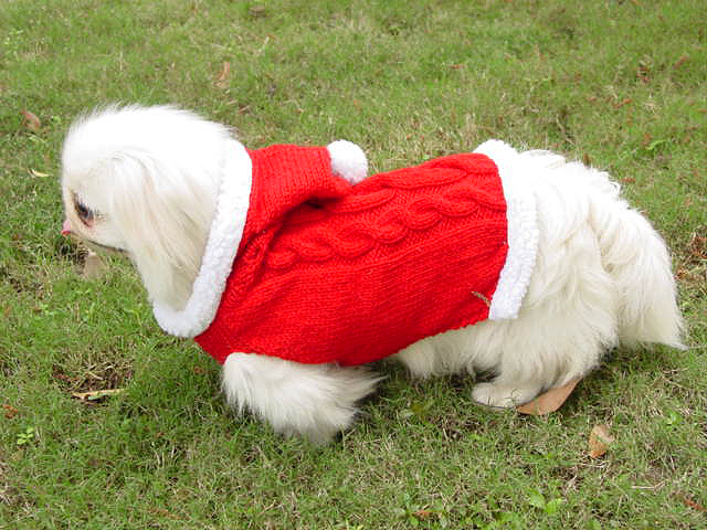 Christmas sweater