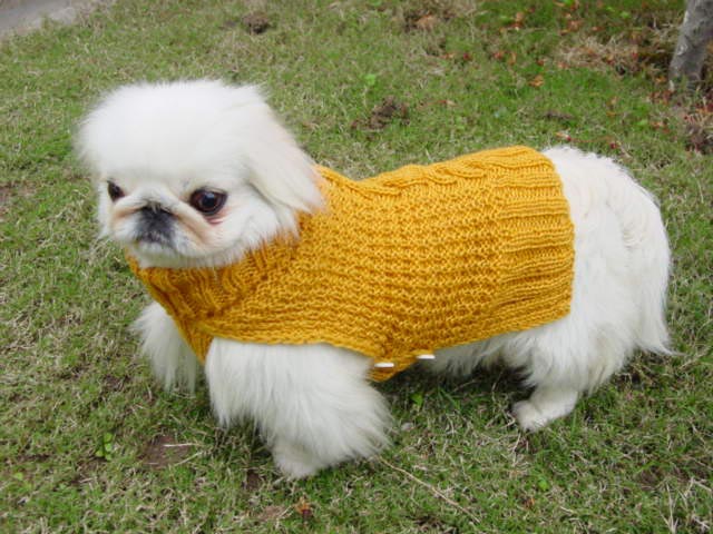Pattern Sweater