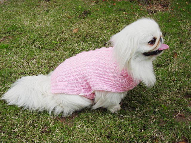 Pattern Sweater
