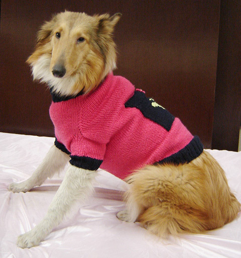 chunky turtleneck sweater