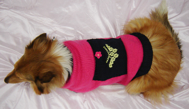 chunky turtleneck sweater