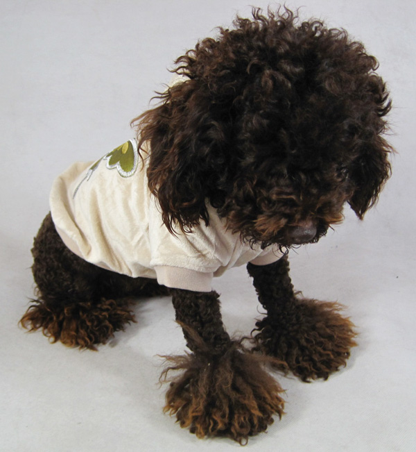 Butterfly Velour Hoody Butterfly Velour Hoody