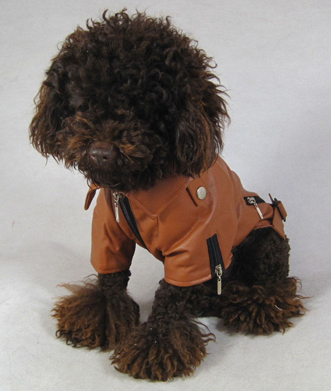 Dog Blank Leather Jacket Dog Blank Leather Jacket