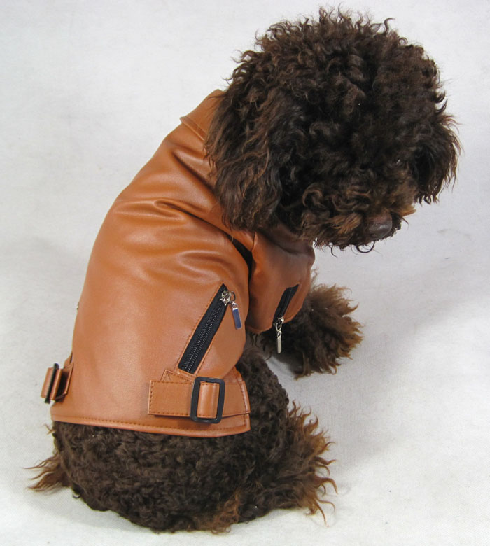 Leather Jacket UPC 691608219019 Leather Jacket UPC 691608219019