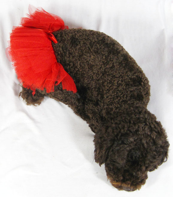 Dog Tattered Tulle Tutu