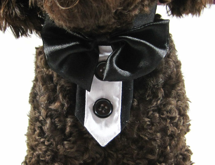 Dog Tie Collar