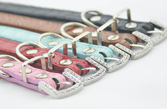 5 Colors beautiful dog Collar Crocodile 5 Colors beautiful dog Collar Crocodile