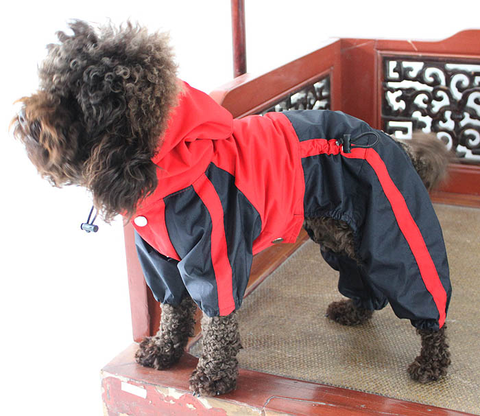 Lovelonglong Border Collie Dog Hooded Raincoat, Collie Rain Jacket